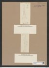 Pyxilla horrida Grun. (de-Toni-Nr.: Genus 164) Zeichnungen Sammlung Grunow Nr. 7834 (NHMW-BOT-W0377077)